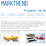 Website f&uuml;r eine Denkfabrik